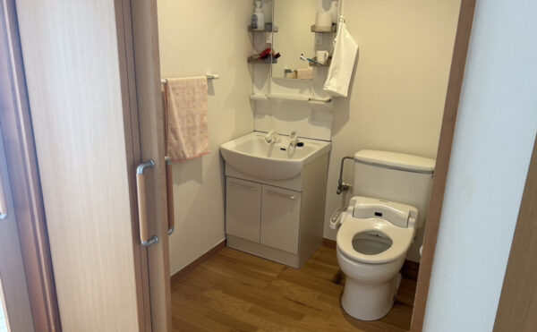 トイレの中には歯ブラシや歯磨き粉を収納できる洗面所あり。手すりもあり安全です。