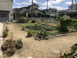サービス付き高齢者向け住宅「ケアホームきずな」の家庭菜園ができるお庭の風景
